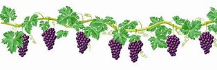 Image result for Grape Vine Art
