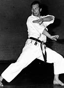 Image result for Shotokan Karate Classic Poses