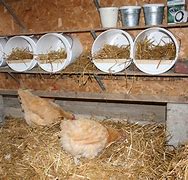 Image result for Hen Laying Boxes