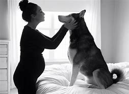 Image result for Jenna Husky Expecting
