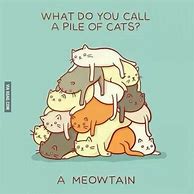 Image result for cats pun