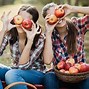 Image result for Funny Apple Orchard