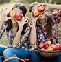 Image result for Apple-Picking Slogan