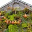 Image result for Fall Garden Decorations