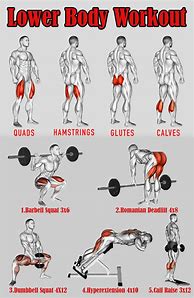 Image result for Lower Body Strength Workout