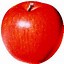 Image result for Clip Art Free Images Green Apple