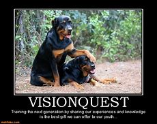 Image result for Vision Quest Memes