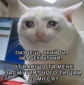Image result for Crying Cat Phone