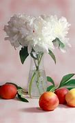 Image result for Images of Still Life