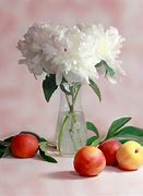 Image result for Famous Still Life Photography