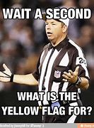 Image result for Funny NFL Refs