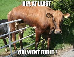 Image result for Priest Cow Meme