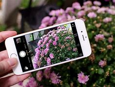 Image result for About iPhone 6 Camera