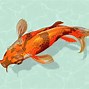 Image result for Koi Fish Art