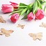 Image result for Tulips and Butterflies