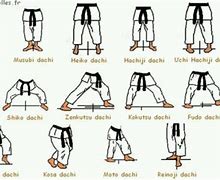 Image result for Japanese Karate Stances