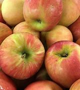 Image result for Organic Honeycrisp Apples