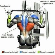 Image result for Big Back Attract