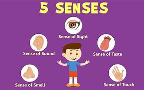 Image result for My 5 Senses Worksheet