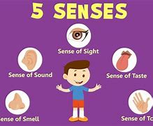 Image result for Five Body Senses Hand