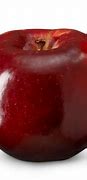 Image result for Spartan Apple Tree