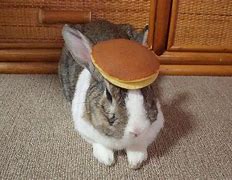 Image result for Oolong Rabbit
