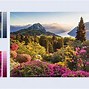 Image result for Sony X80j 43 Inch TV