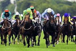 Image result for Horse Racing Pictures Free