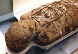 Image result for Mummies with Onion