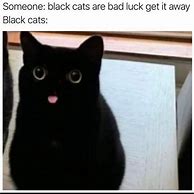 Image result for Black Cat Meme