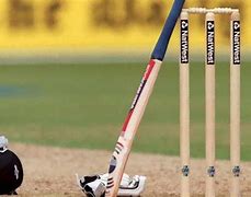 Image result for Cricket Ball and Wicket