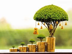 Image result for Tree Money Coming