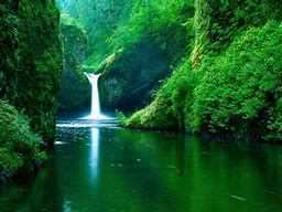 Image result for 1024 X 768 Nature