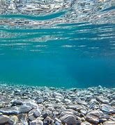 Image result for Underwater Images Wallpaper