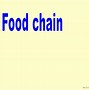 Image result for Different Food Chains
