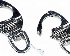 Image result for Quick Release Heavy Duty Snap Hook