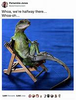 Image result for Lounge Lizard Meme