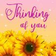 Image result for Sweet Thinking of You Meme