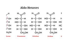 Image result for aldohexoss