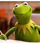 Image result for Kermit Meme Templates