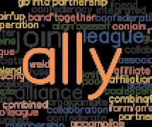 Image result for Ally Synonym