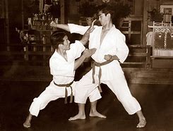 Image result for Shotokan Karate of America