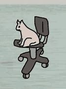 Image result for Spinning Cat Meme