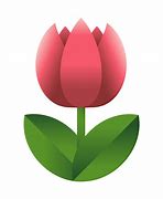 Image result for Tulip Symbol