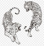 Image result for Draw a Tiger Easy
