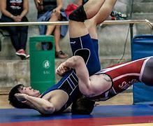 Image result for What Are the Different Types of Wrestling