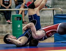 Image result for Types of Wrestling Poses
