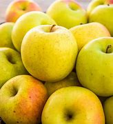 Image result for Gold Rush Apple Tree