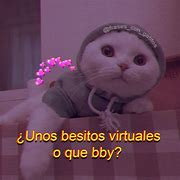 Image result for Memes De Gatos