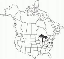 Image result for Blank Us and Canada Map